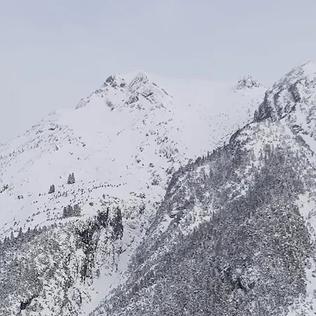 Haus Monika * שארניץ