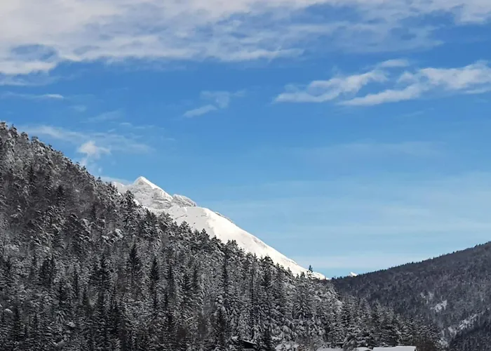 Appartamento Haus Monika